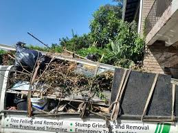 Best Same-Day Junk Removal Services  in Almont, MI